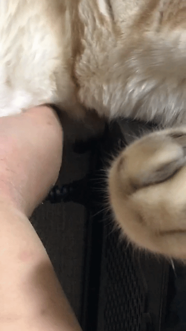 [잡담] 아니 왜 저러고 자냐!!! | 인스티즈