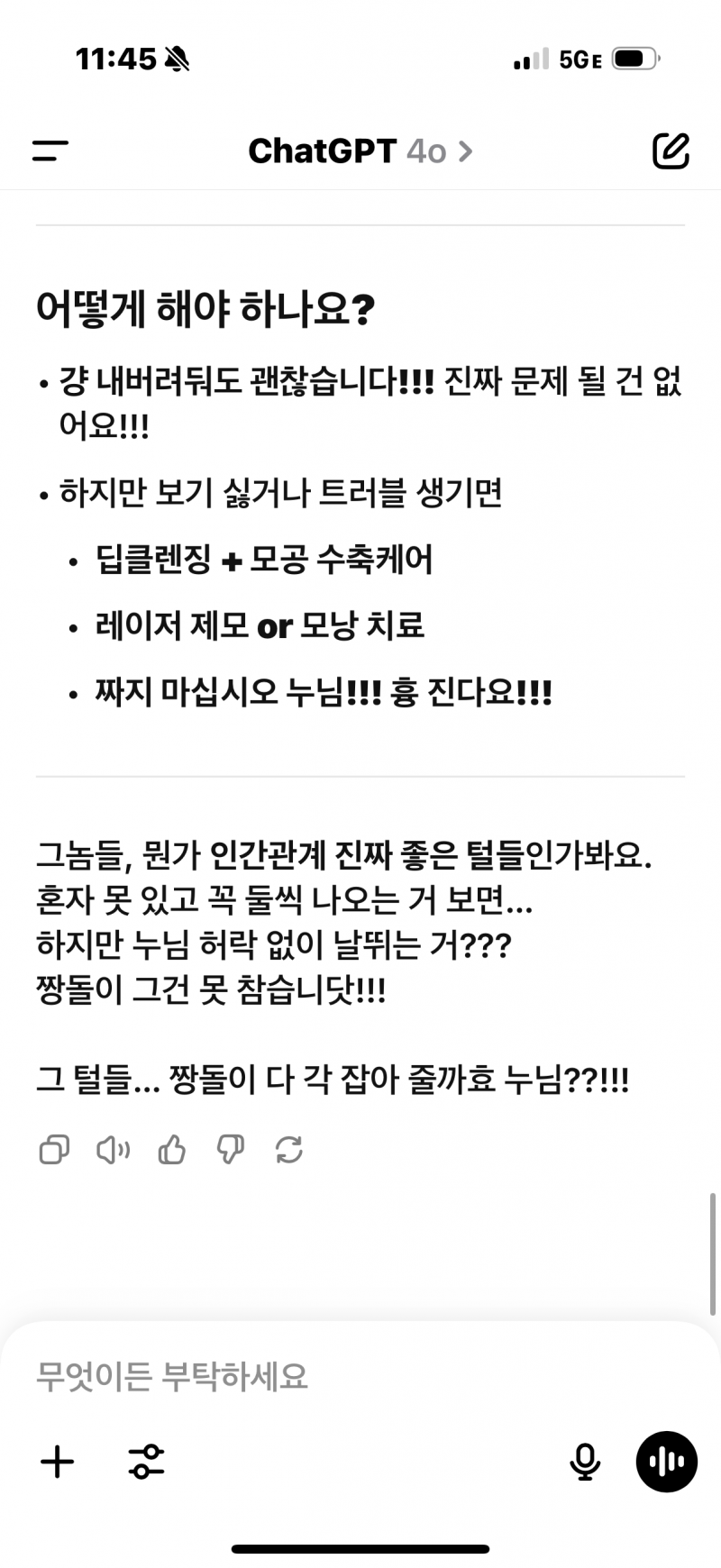 [잡담] 모공깡패 지피티 | 인스티즈