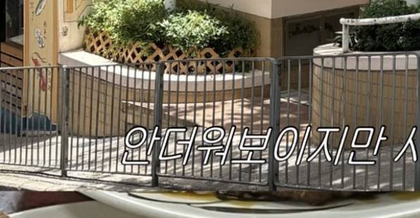 [잡담] 인스타 스토리 이런 자막? 폰트? 효과? 어케 하는지 아는 사람 | 인스티즈