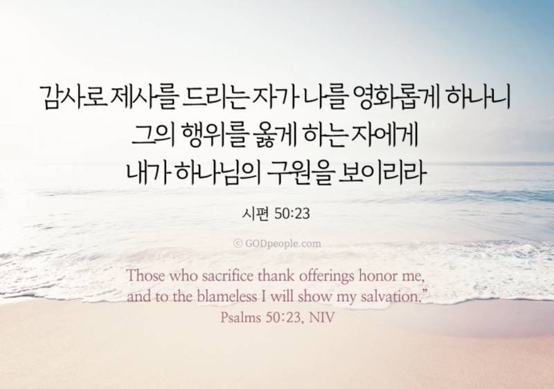 [잡담] 영광의 주님의 날, 찬송함으로 경배합시다 할렐루야 🕊️ | 인스티즈