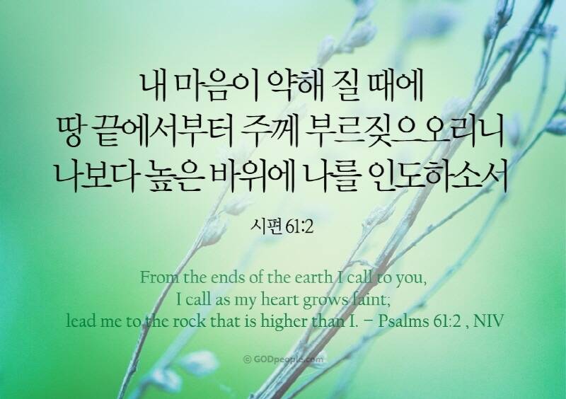 [잡담] 영광의 주님의 날, 찬송함으로 경배합시다 할렐루야 🕊️ | 인스티즈