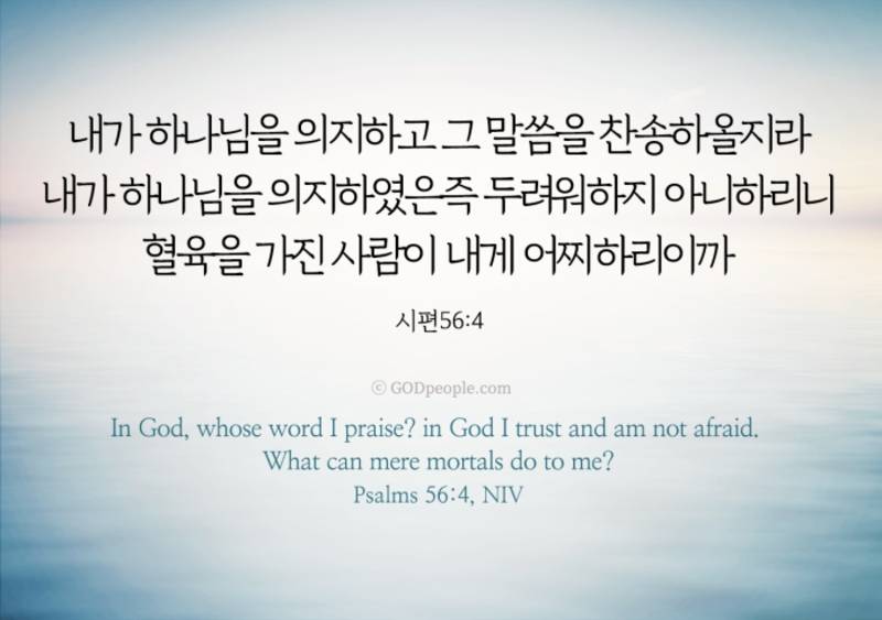 [잡담] 영광의 주님의 날, 찬송함으로 경배합시다 할렐루야 🕊️ | 인스티즈