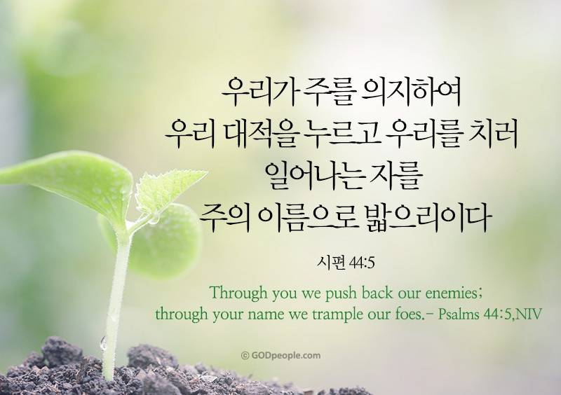 [잡담] 영광의 주님의 날, 찬송함으로 경배합시다 할렐루야 🕊️ | 인스티즈