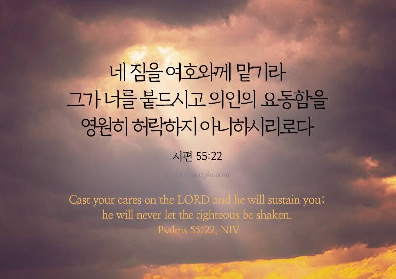 [잡담] 영광의 주님의 날, 찬송함으로 경배합시다 할렐루야 🕊️ | 인스티즈