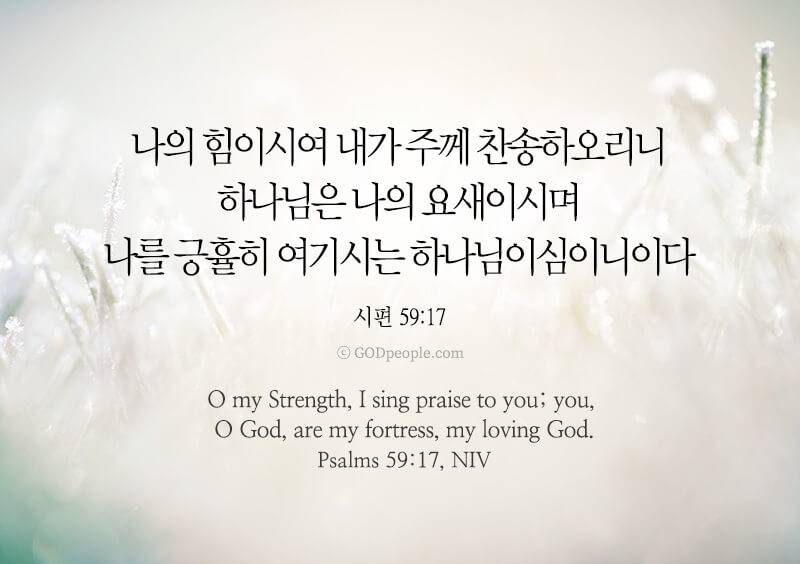 [잡담] 영광의 주님의 날, 찬송함으로 경배합시다 할렐루야 🕊️ | 인스티즈