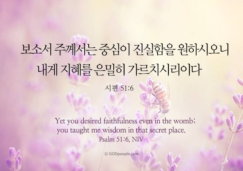 [잡담] 영광의 주님의 날, 찬송함으로 경배합시다 할렐루야 🕊️ | 인스티즈