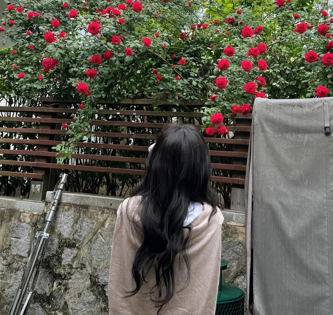 [잡담] 채원빈 머리 무슨펌임? | 인스티즈