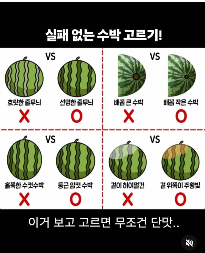 [잡담] 나 주근깨 개많은데 피부과에서 돈 더 받진 않지? | 인스티즈