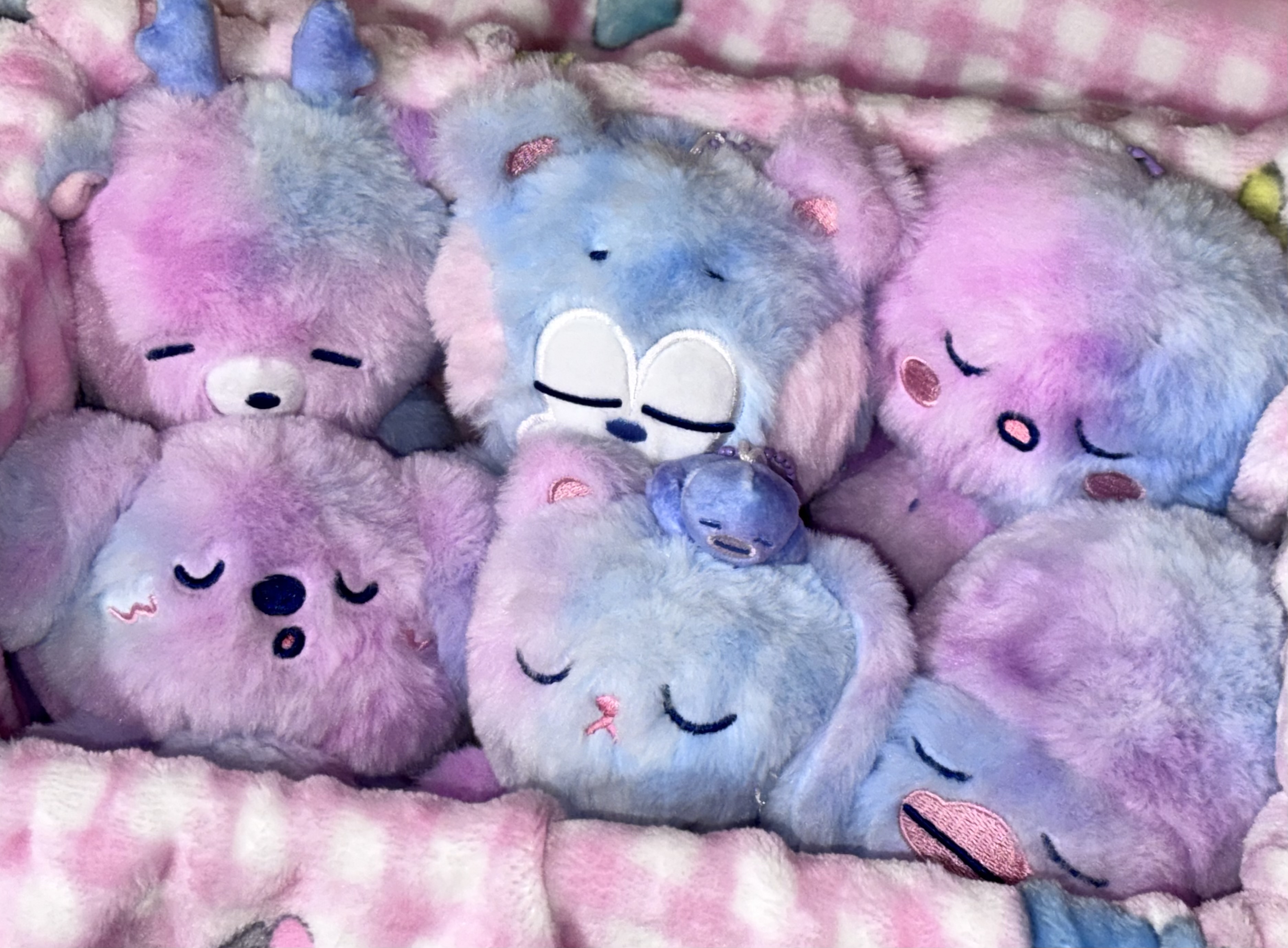 [잡담] 라이즈 보이스키링 실물 보고 가실 분 | 인스티즈