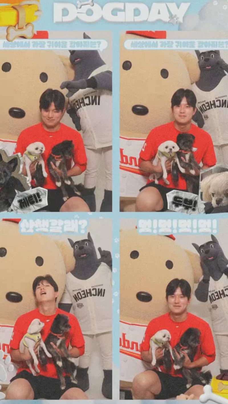[잡담] 도그데이 좋아 계속 영원히 쭉하자💖🫶🏻 | 인스티즈