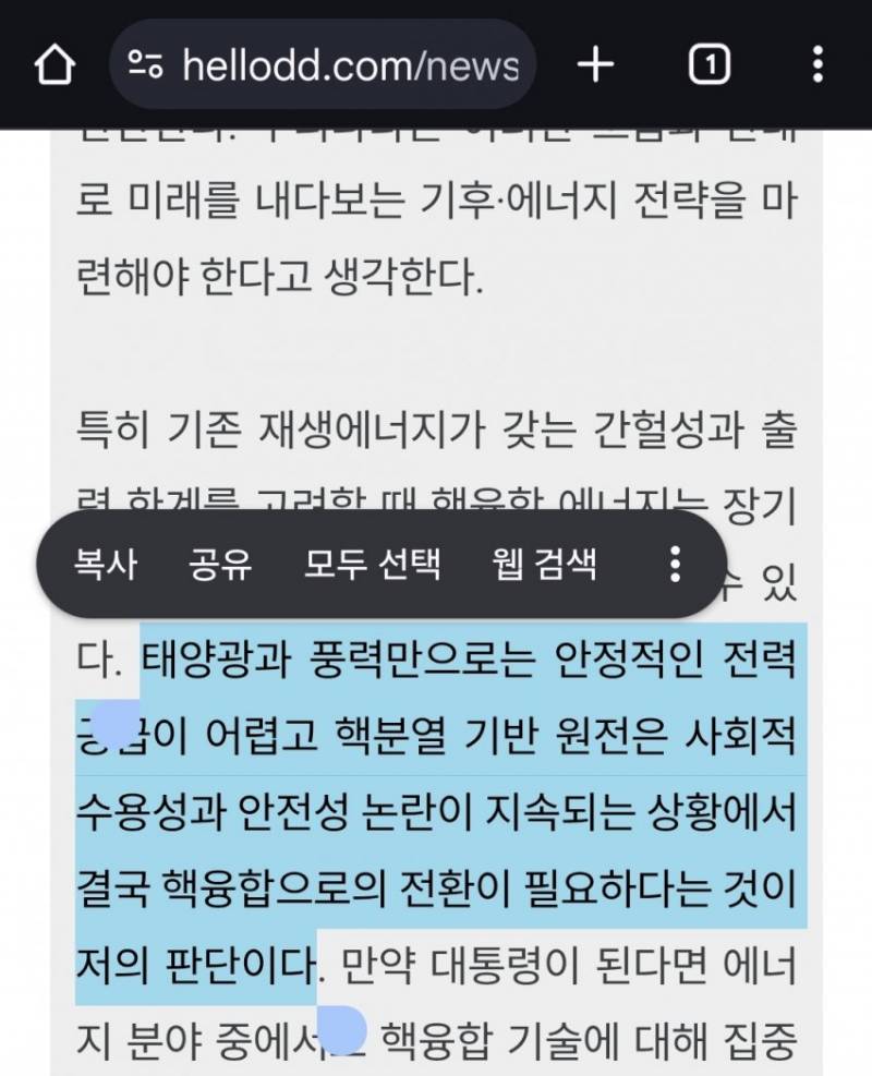 [잡담] ㅇㅈㅁ 지지자들 너무 무지성 지지야~ 광신도 같아~ | 인스티즈