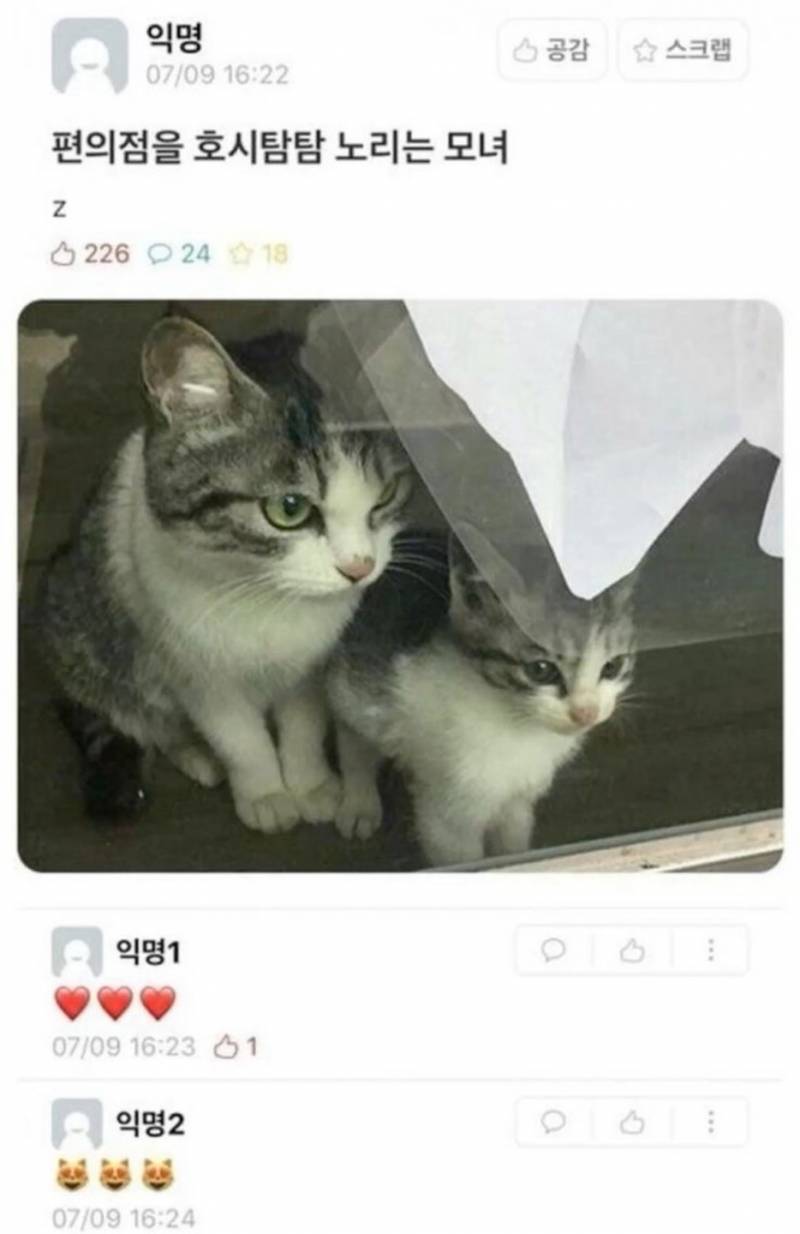계속 편의점을 노리는 모녀 | 인스티즈