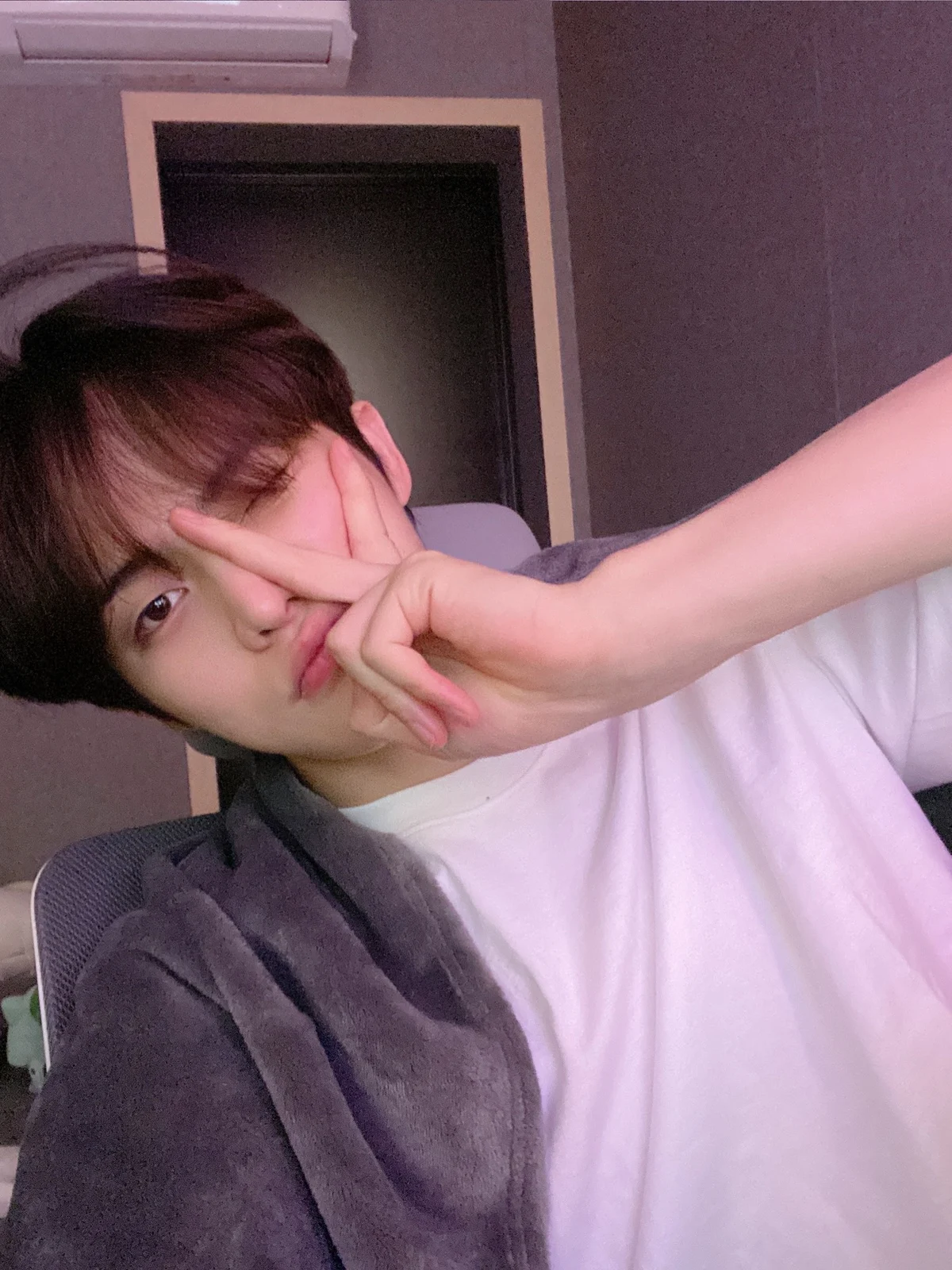 [잡담] 난 선거하면 유쾌하게 넘어가는 연예인들이 개웃김 | 인스티즈