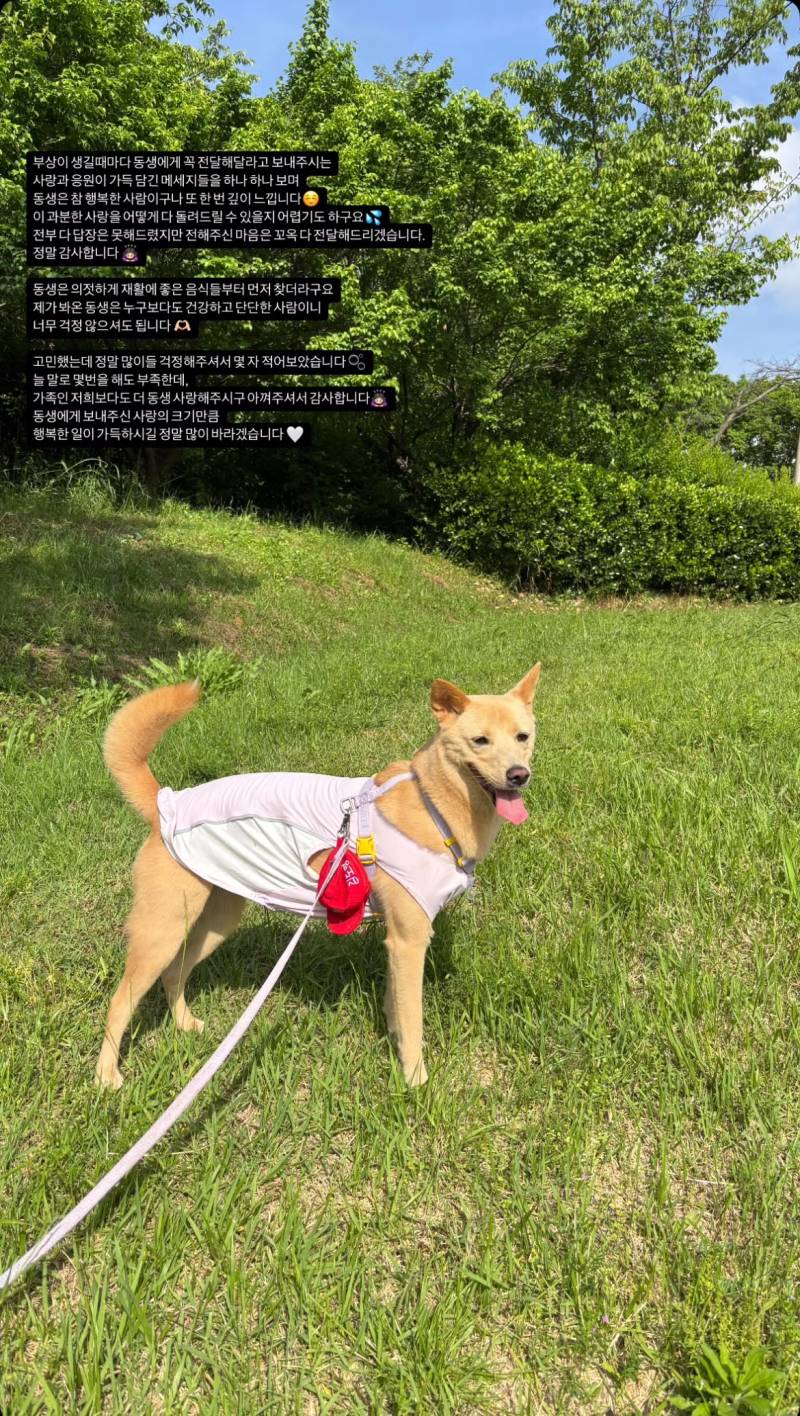 [잡담] 잔디계정(도영이 누나분이 쓰셨나봐)에 올라온 글😭 | 인스티즈