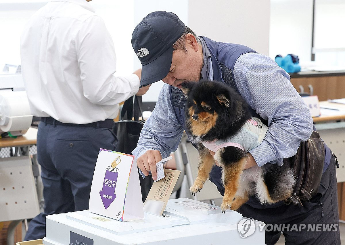 [정보/소식] 기자들도 귀여움을 못참고 다각도로 찍어버린 투표사진 | 인스티즈