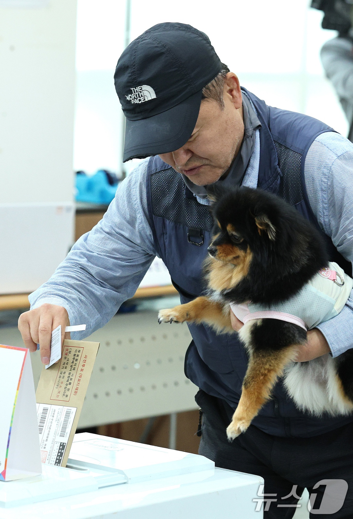 [정보/소식] 기자들도 귀여움을 못참고 다각도로 찍어버린 투표사진 | 인스티즈