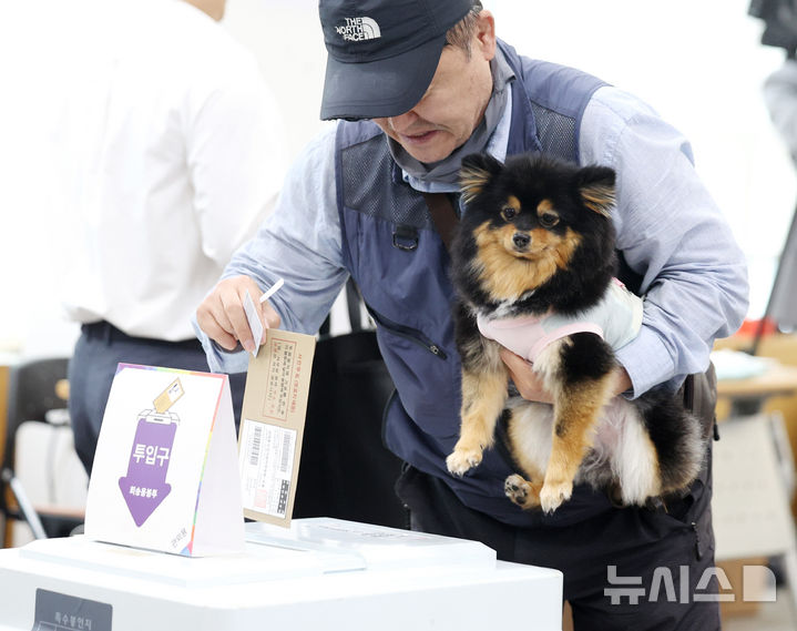 [정보/소식] 기자들도 귀여움을 못참고 다각도로 찍어버린 투표사진 | 인스티즈