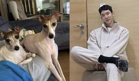 고소영과 조권 차은우의 관계성.jpg | 인스티즈