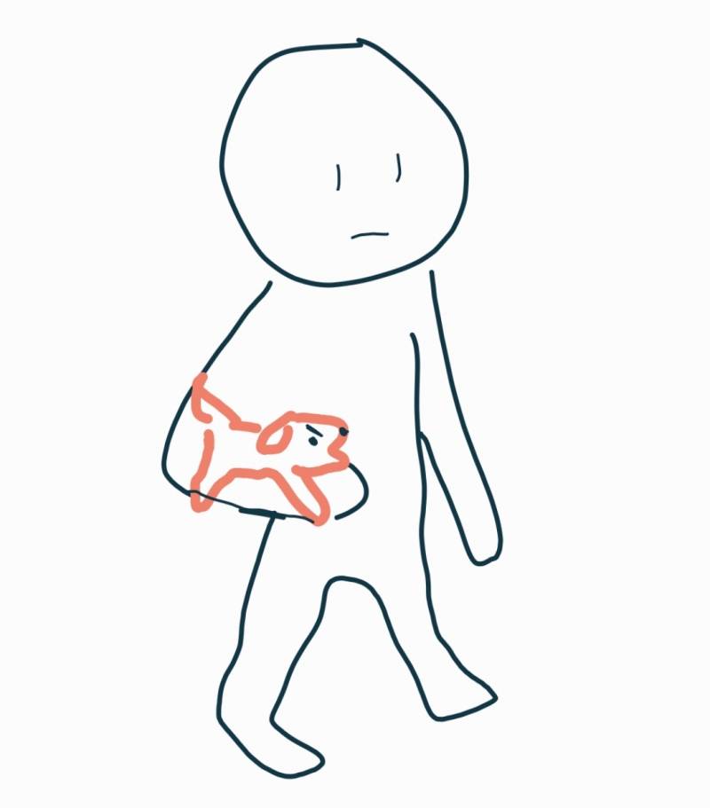 [잡담] 포메 말티 치와와 암튼 소형견 키워본 익들 들어와봐 | 인스티즈