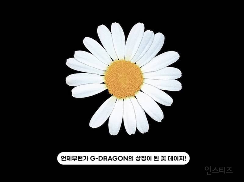 선거도장 같은 지디 브랜드 로고의 비밀..jpg | 인스티즈