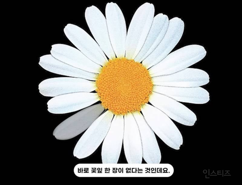 선거도장 같은 지디 브랜드 로고의 비밀..jpg | 인스티즈