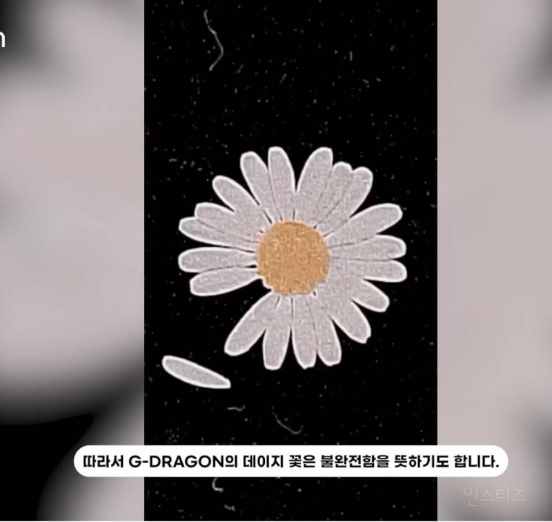 선거도장 같은 지디 브랜드 로고의 비밀..jpg | 인스티즈