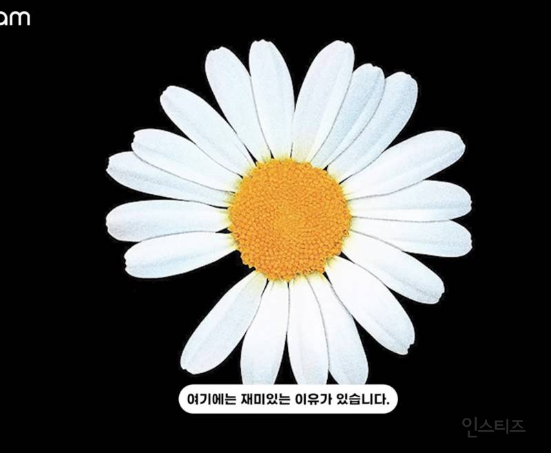 선거도장 같은 지디 브랜드 로고의 비밀..jpg | 인스티즈