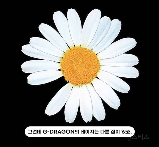선거도장 같은 지디 브랜드 로고의 비밀..jpg | 인스티즈