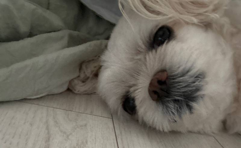 [잡담] 아침 눈 뜨자마자 보이는 것 | 인스티즈
