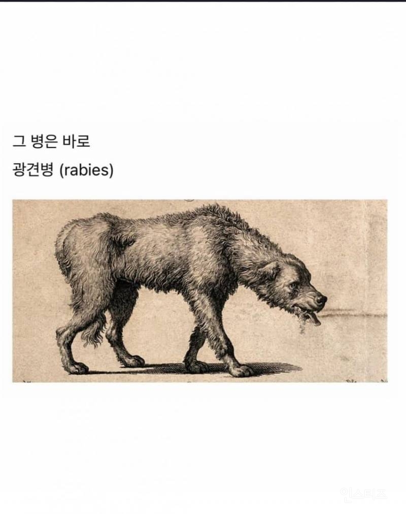 치사율 99% 이상이라는 발병후 죽는다고 보면 된다는 무서운 바이러스 .jpg | 인스티즈
