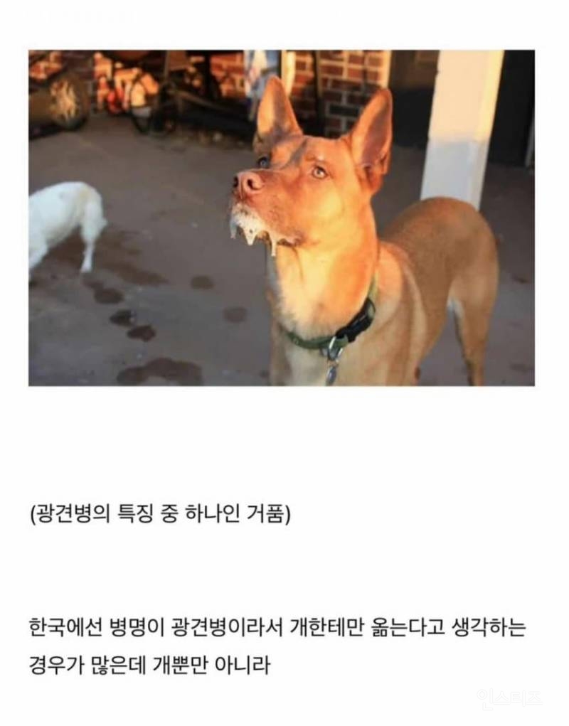 치사율 99% 이상이라는 발병후 죽는다고 보면 된다는 무서운 바이러스 .jpg | 인스티즈