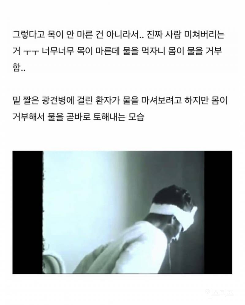 치사율 99% 이상이라는 발병후 죽는다고 보면 된다는 무서운 바이러스 .jpg | 인스티즈