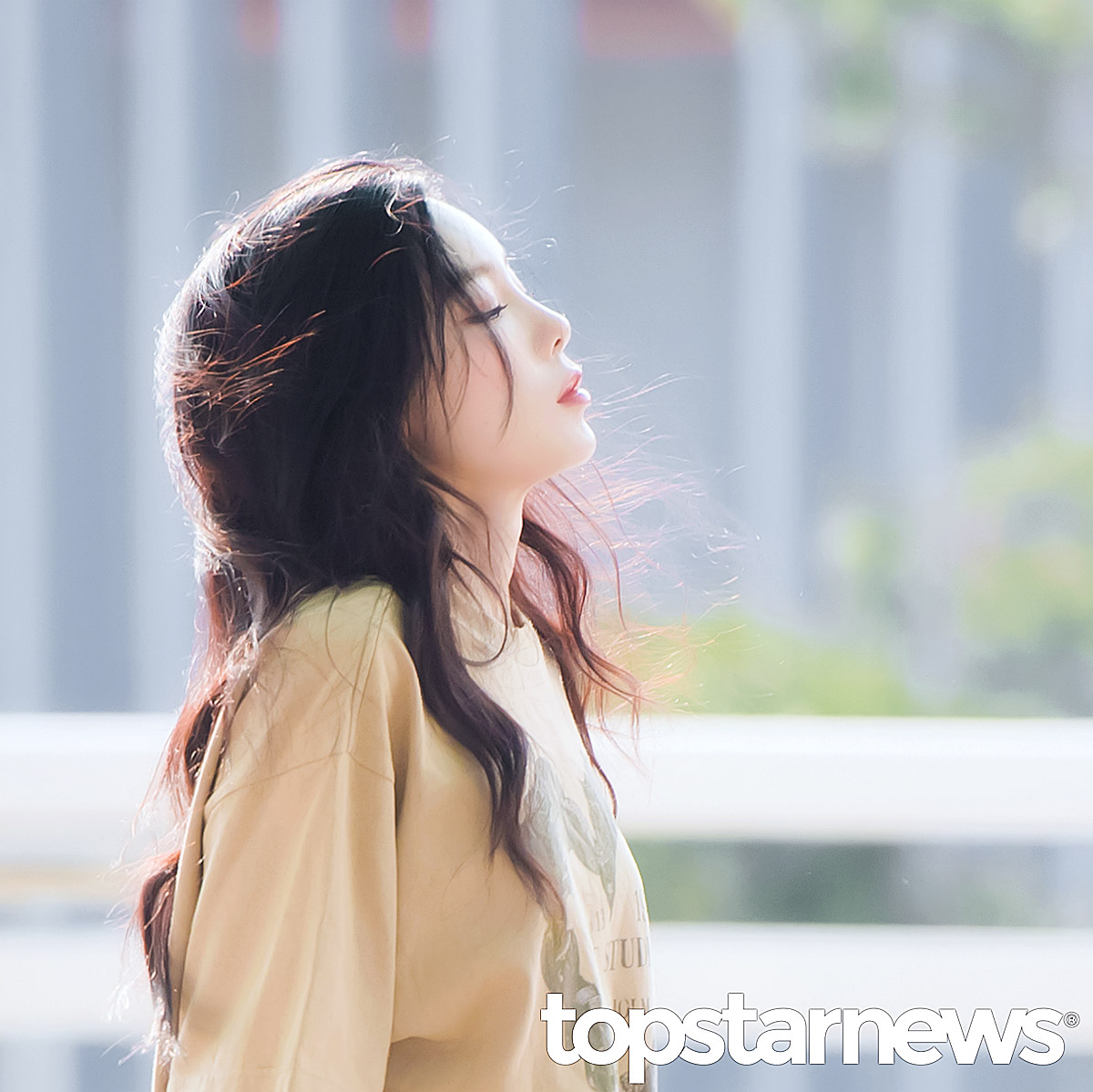 [잡담] 택시 호객행위 적발시 행정처분 | 인스티즈