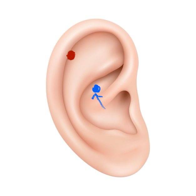 [잡담] 귀 여기 뚫어본 익들 있어?? | 인스티즈