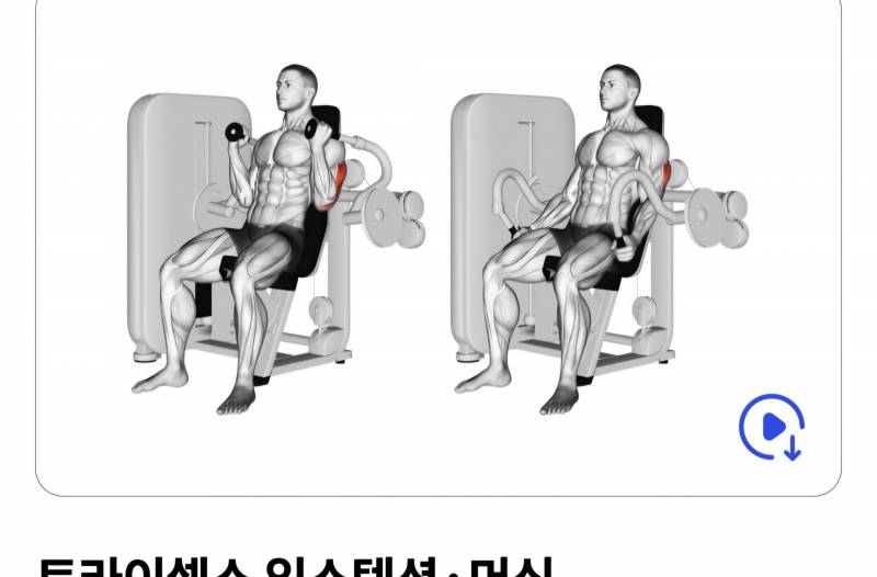 [잡담] 가슴커서 팔뚝살+승모+라운드숄더 고민인익들 들어와봐 | 인스티즈