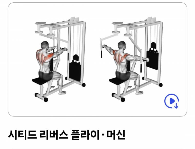 [잡담] 가슴커서 팔뚝살+승모+라운드숄더 고민인익들 들어와봐 | 인스티즈