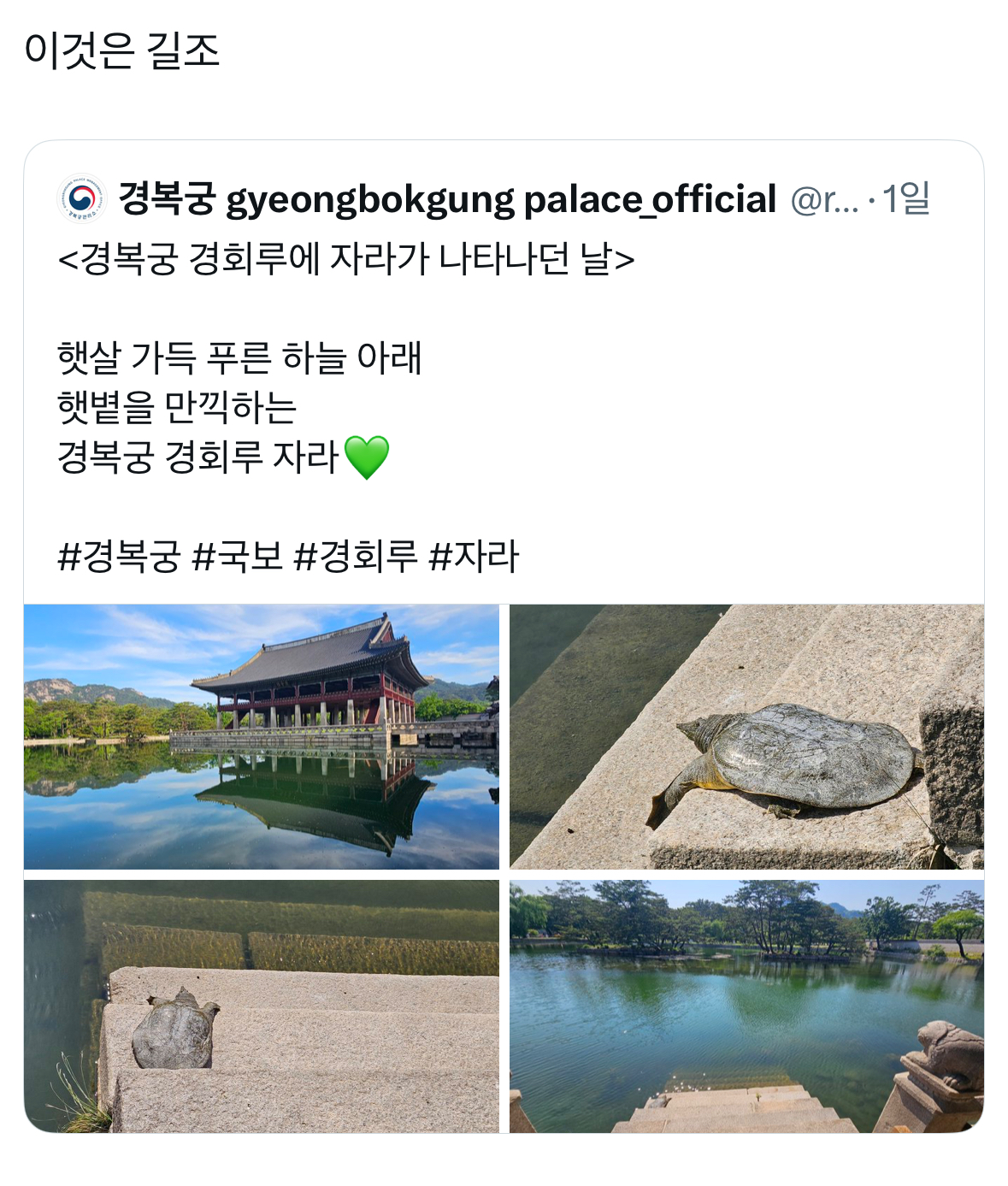 [잡담] 어제 경복궁 경회루에 길조 상징 자라햄 나타남 | 인스티즈