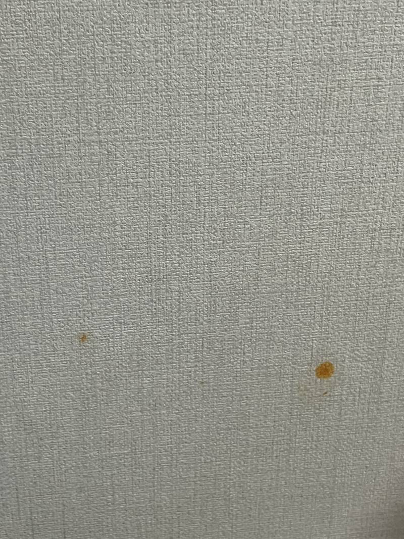 [잡담] 자취방 벽지에 불닭소스 튀었어..ㅠㅠ 이거 물어줘야하? | 인스티즈