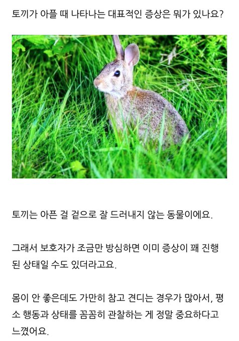[잡담] 도영아아ㅏㅏ... | 인스티즈