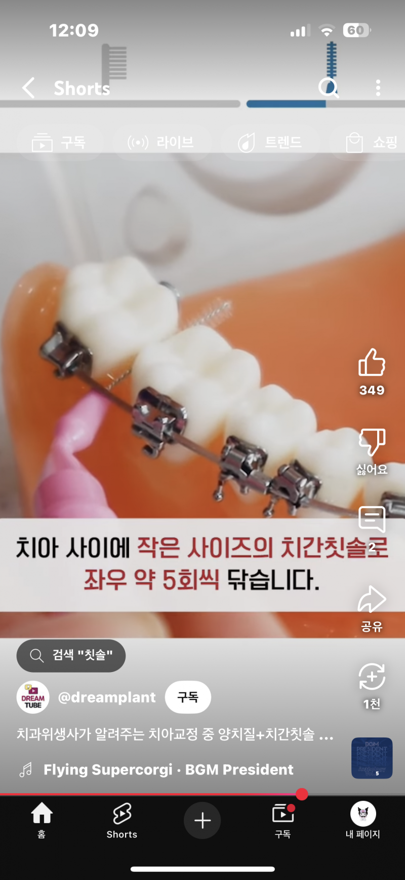 [잡담] 익들아 치간칫솔 원래 이렇게 하는거야…? 이빨에 쭈셔넣는거야? | 인스티즈