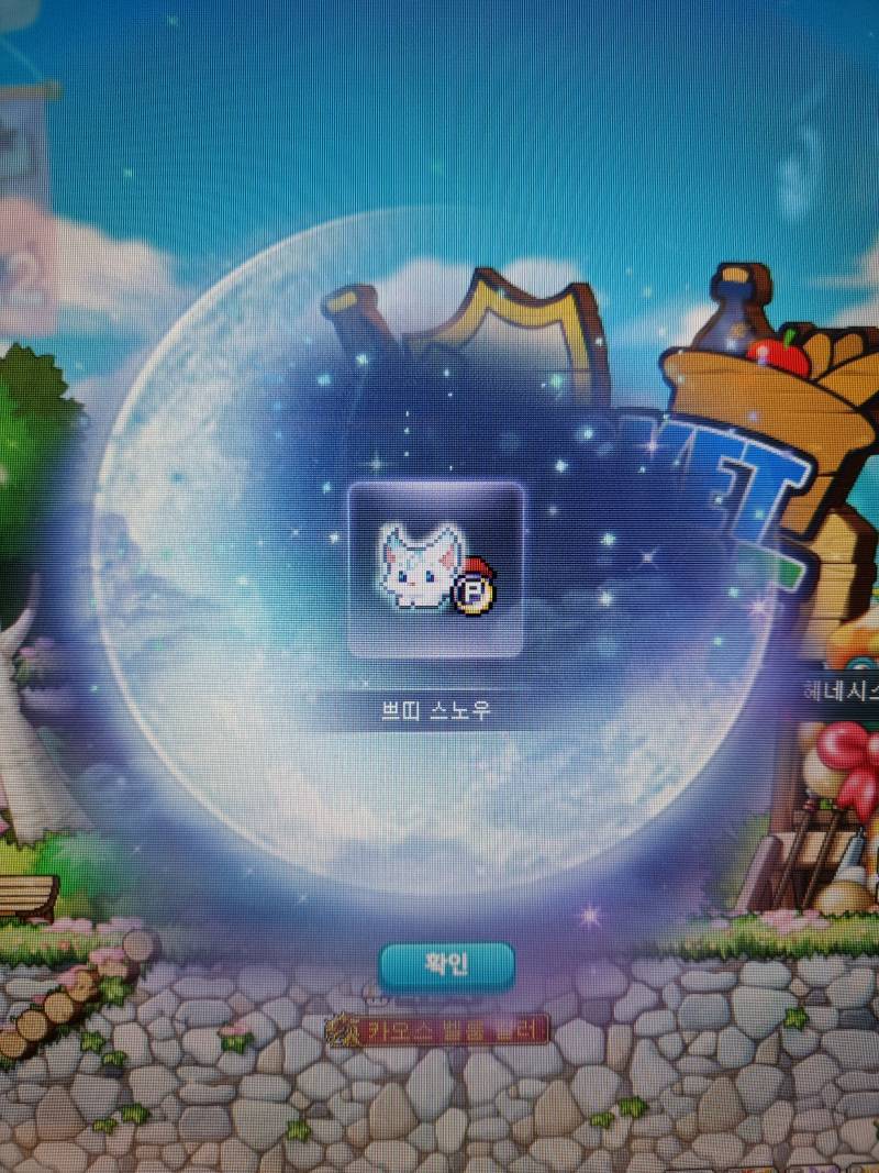 [잡담] 나 원더베리 2세트사서 쁘띠스노우뽑았어 | 인스티즈
