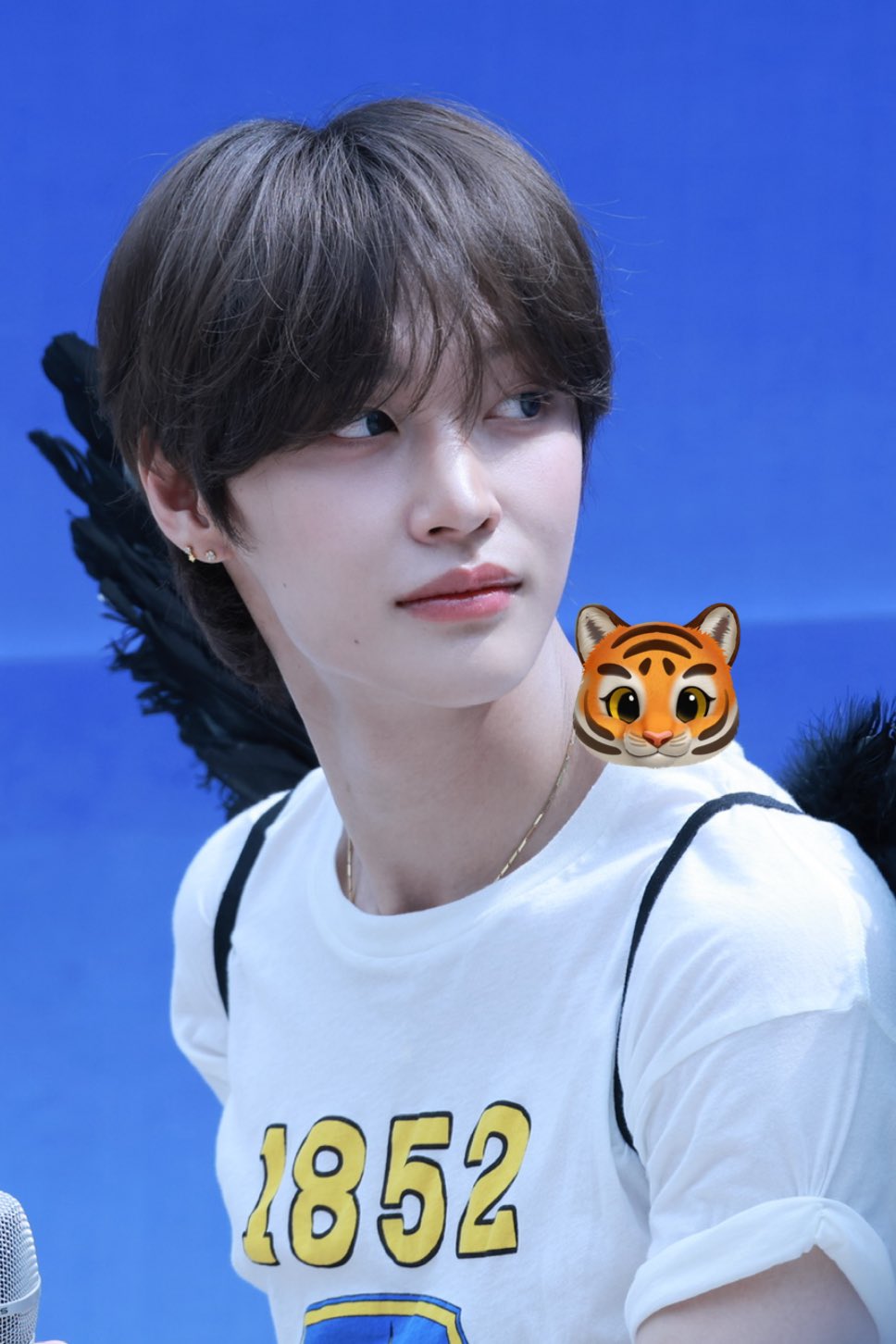 [잡담] 근데 원빈이보다 팬들이 원빈이 피부에 더 자부심을 느낌 | 인스티즈