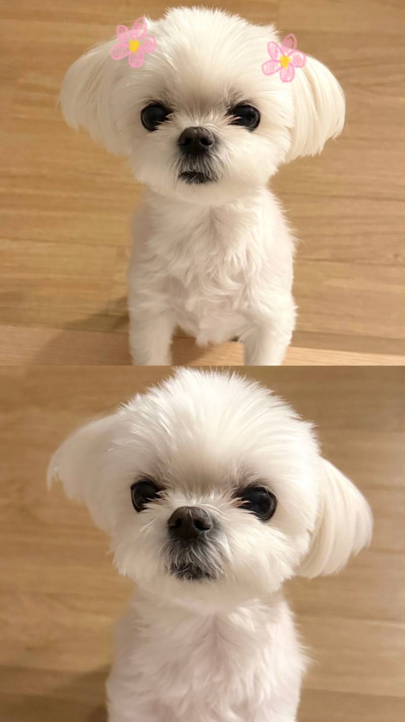 [잡담] 나 정도면 연예인 데뷔 가능할거 같아? | 인스티즈
