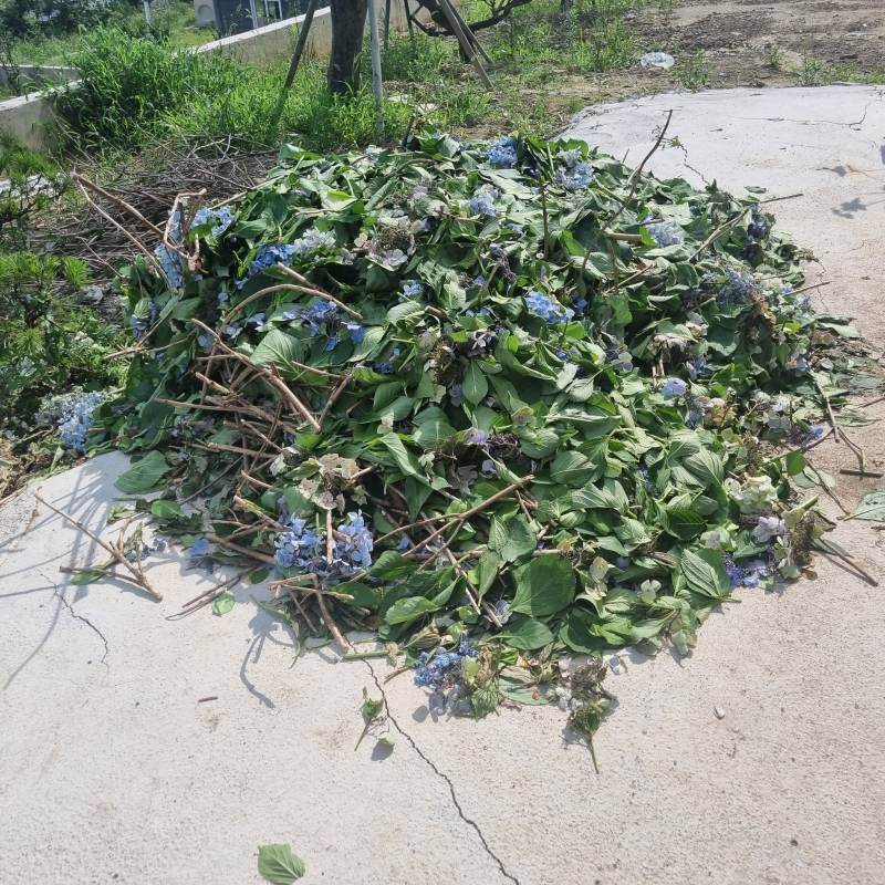 [잡담] 회사 퇴사했어...... | 인스티즈