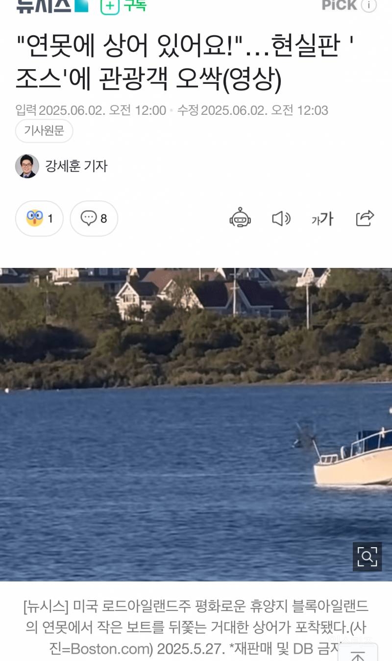 6m 상어출몰 ㅎㄷㄷ | 인스티즈