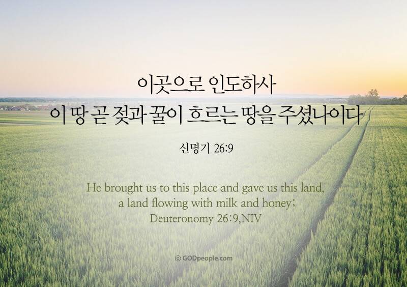 [잡담] 모든 성도들에게 크시고 위대하신 하나님의 복이 넘치기를💜 | 인스티즈