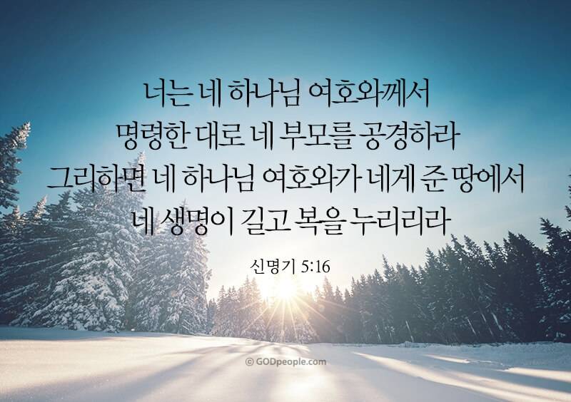 [잡담] 모든 성도들에게 크시고 위대하신 하나님의 복이 넘치기를💜 | 인스티즈