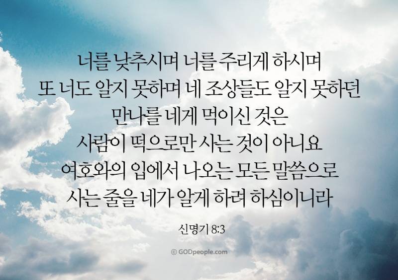 [잡담] 모든 성도들에게 크시고 위대하신 하나님의 복이 넘치기를💜 | 인스티즈