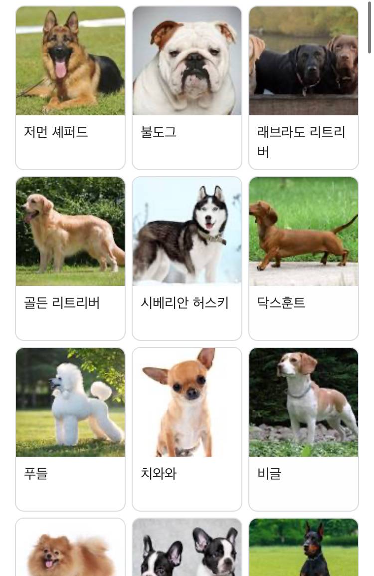 [잡담] 강아지들은 진짜 못생긴애들 많네 | 인스티즈