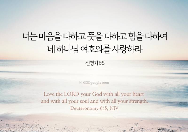 [잡담] 모든 성도들에게 크시고 위대하신 하나님의 복이 넘치기를💜 | 인스티즈